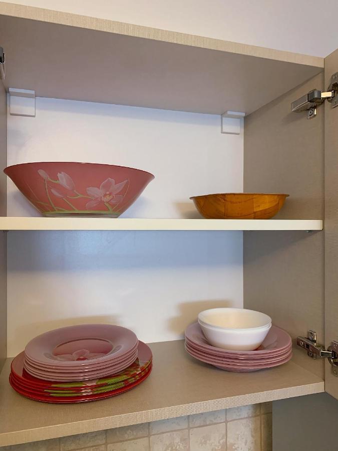 Casa Carol Apartment Brasov Bagian luar foto